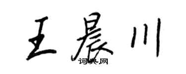 王正良王晨川行書個性簽名怎么寫
