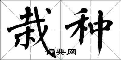 翁闓運栽種楷書怎么寫