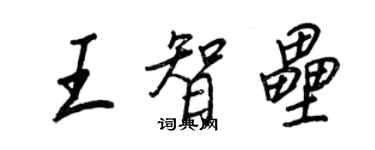 王正良王智壘行書個性簽名怎么寫