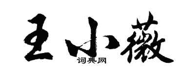 胡問遂王小薇行書個性簽名怎么寫