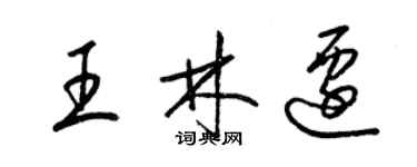 梁錦英王林遷草書個性簽名怎么寫