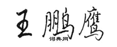 駱恆光王鵬鷹行書個性簽名怎么寫
