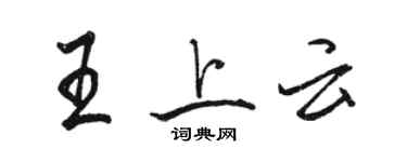 駱恆光王上雲行書個性簽名怎么寫