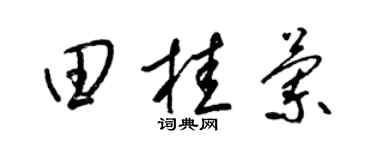 梁錦英田桂蘭草書個性簽名怎么寫