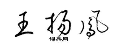 梁錦英王揚鳳草書個性簽名怎么寫