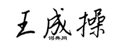 王正良王成操行書個性簽名怎么寫