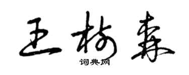 曾慶福王樹森草書個性簽名怎么寫