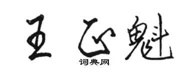 駱恆光王正魁行書個性簽名怎么寫