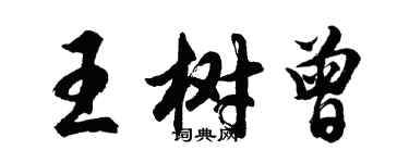 胡問遂王樹曾行書個性簽名怎么寫