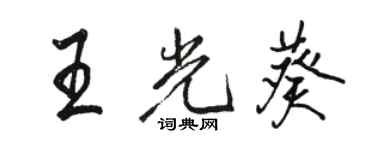 駱恆光王光葵行書個性簽名怎么寫