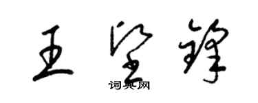 梁錦英王堅鋒草書個性簽名怎么寫