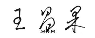 駱恆光王昌果草書個性簽名怎么寫