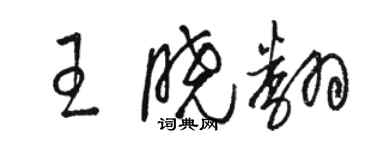 駱恆光王曉翻草書個性簽名怎么寫