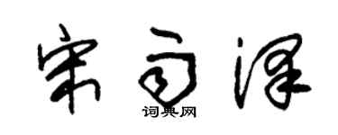 朱錫榮宋雨澤草書個性簽名怎么寫