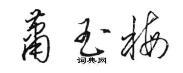 駱恆光蕭玉梅草書個性簽名怎么寫