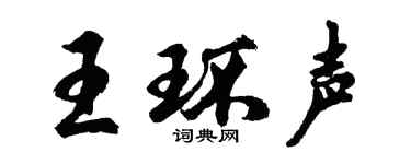 胡問遂王環聲行書個性簽名怎么寫