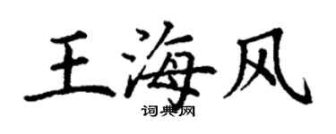丁謙王海風楷書個性簽名怎么寫