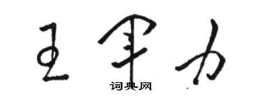 駱恆光王軍力草書個性簽名怎么寫