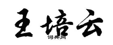 胡問遂王培雲行書個性簽名怎么寫