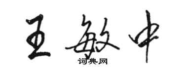 駱恆光王敏中行書個性簽名怎么寫