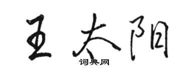 駱恆光王太陽行書個性簽名怎么寫