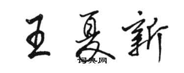 駱恆光王夏新行書個性簽名怎么寫