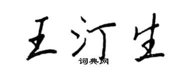 王正良王汀生行書個性簽名怎么寫