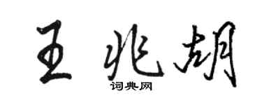 駱恆光王兆胡行書個性簽名怎么寫