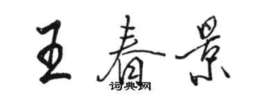 駱恆光王春景行書個性簽名怎么寫