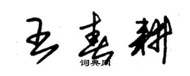 朱錫榮王春耕草書個性簽名怎么寫