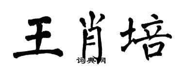 翁闓運王肖培楷書個性簽名怎么寫