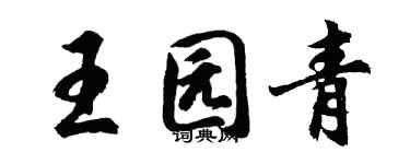 胡問遂王園青行書個性簽名怎么寫