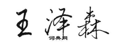 駱恆光王澤森行書個性簽名怎么寫