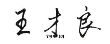 駱恆光王才良行書個性簽名怎么寫