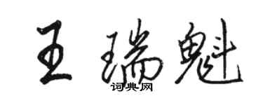駱恆光王瑞魁行書個性簽名怎么寫