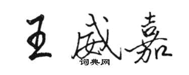 駱恆光王威嘉行書個性簽名怎么寫