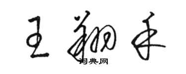 駱恆光王翔禾草書個性簽名怎么寫