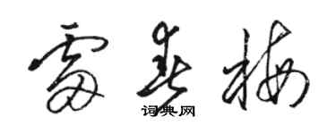 駱恆光雷春梅草書個性簽名怎么寫