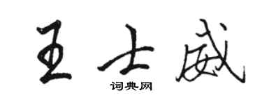 駱恆光王士威行書個性簽名怎么寫