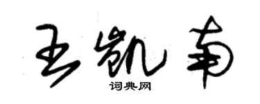 朱錫榮王凱南草書個性簽名怎么寫