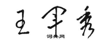 駱恆光王軍秀草書個性簽名怎么寫