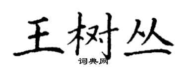 丁謙王樹叢楷書個性簽名怎么寫