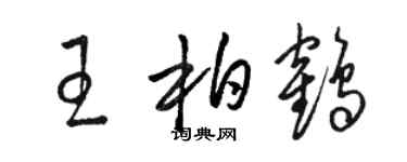 駱恆光王柏鶴草書個性簽名怎么寫