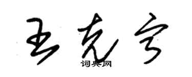 朱錫榮王克寧草書個性簽名怎么寫