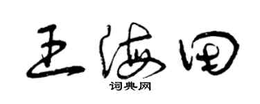 曾慶福王海田草書個性簽名怎么寫