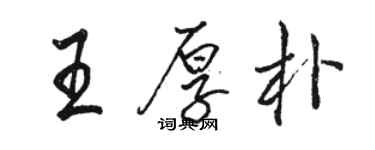 駱恆光王厚朴行書個性簽名怎么寫