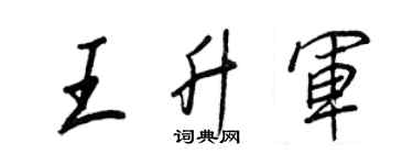 王正良王升軍行書個性簽名怎么寫