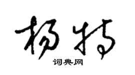 梁錦英楊特草書個性簽名怎么寫