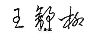 駱恆光王舒柳草書個性簽名怎么寫