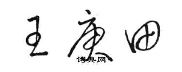 駱恆光王庚田草書個性簽名怎么寫